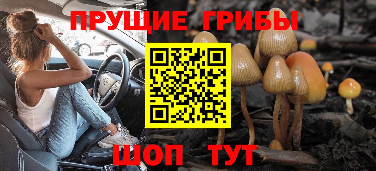 Псилоцибиновые грибы GOLDEN TEACHER  Вход с VPN  Ленинск-Кузнецкий  Галлюциногенные грибы Magic Shrooms 